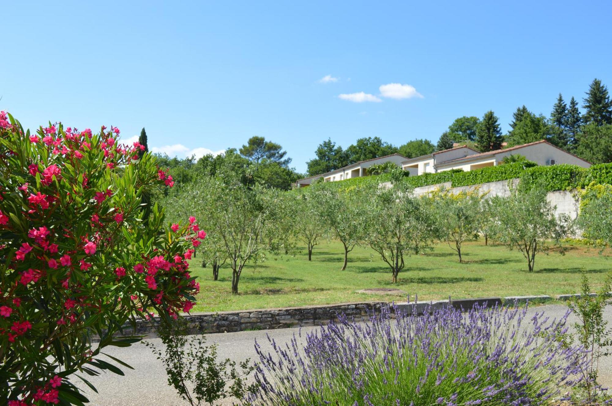Le Moulin Villa Vallon-Pont-d'Arc Ngoại thất bức ảnh